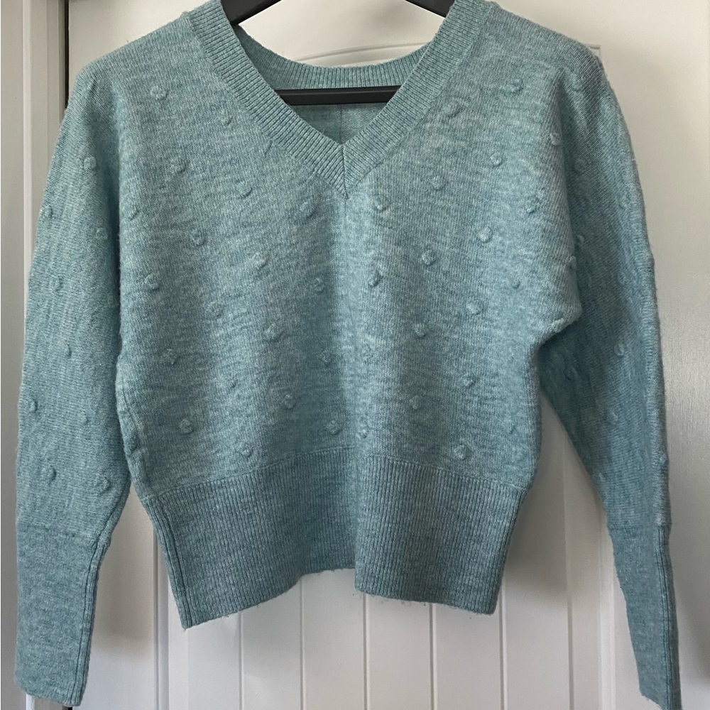 William Rast (Light Blue/Green) Medium Sweater